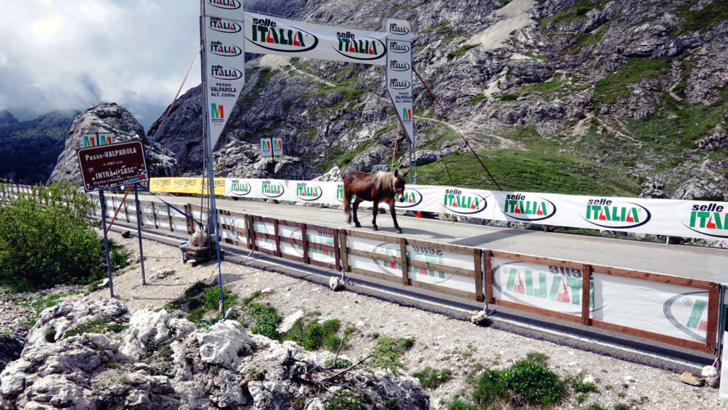 Dolomiten Bikemarathon: Sportlichster Teilnehmer