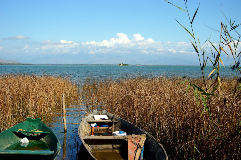 Lake Skadar - zur Hälfte Montenegro zur Hälfte Albanien
