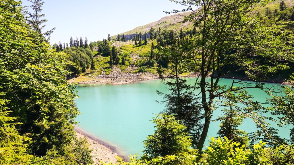 Der Green Lake - ein wunderschönes entspanntes Fläckchen um der Hitze zu entkommen